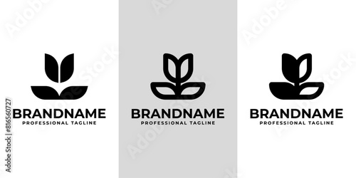 Modern Tulip Flower Logo Set, suitable for any business