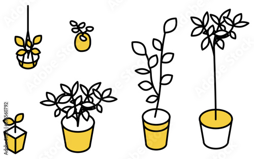 観葉植物のセット、アイソメトリックイラスト