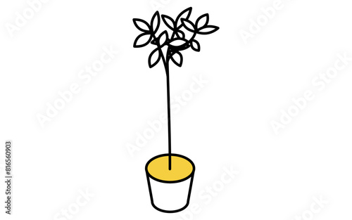 背の高い観葉植物、アイソメトリックイラスト