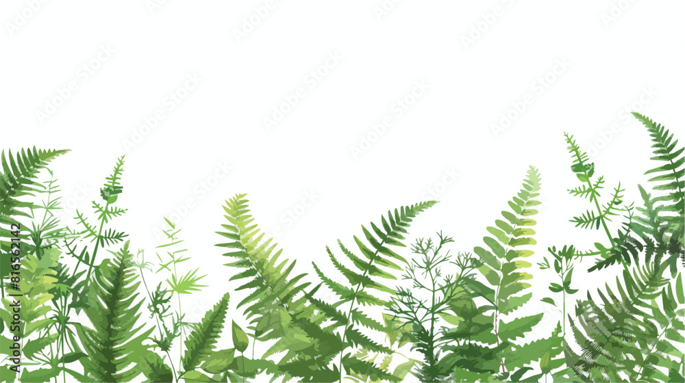 Horizontal background with beautiful ferns wild herbs