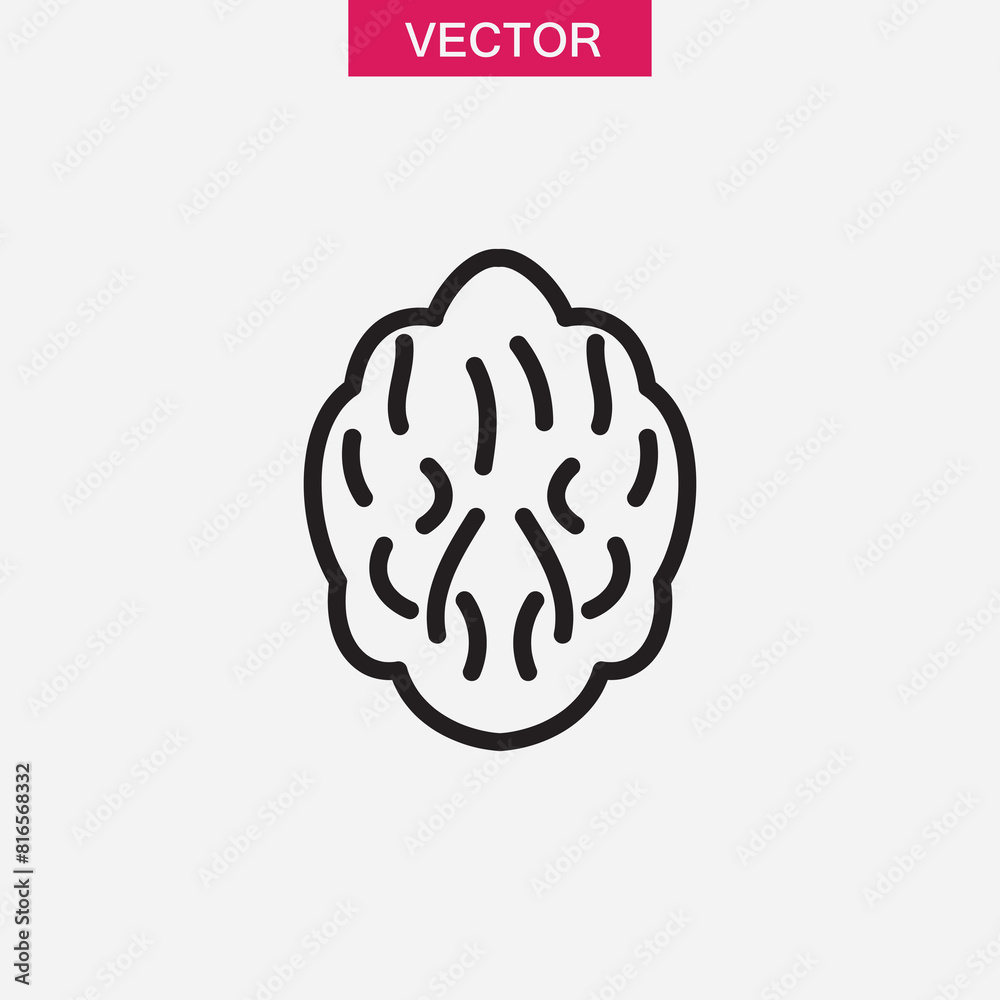 Walnut nut line icon. vector flat walnut illustration for web and app on white background..eps Walnut nut line icon. vector flat walnut illustration for web and app on white background..eps