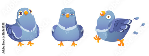 Cute pigeon cartoon character in different poses and with face emotions. Blue comic bird with beak and wings standing with tears, suspicious and frightened walking. Vector set of urban dove mascot.