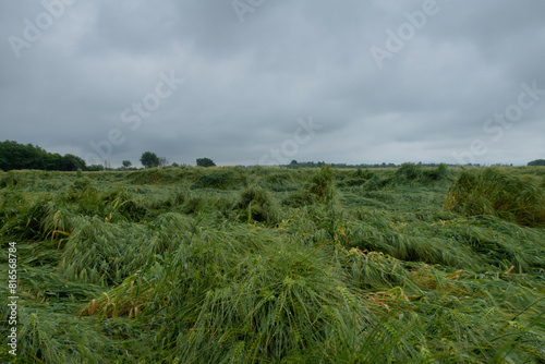 Obraz na płótnie Po Valley w salonie