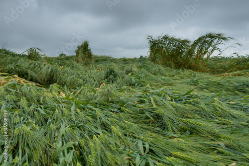 Obraz na płótnie Po Valley w salonie