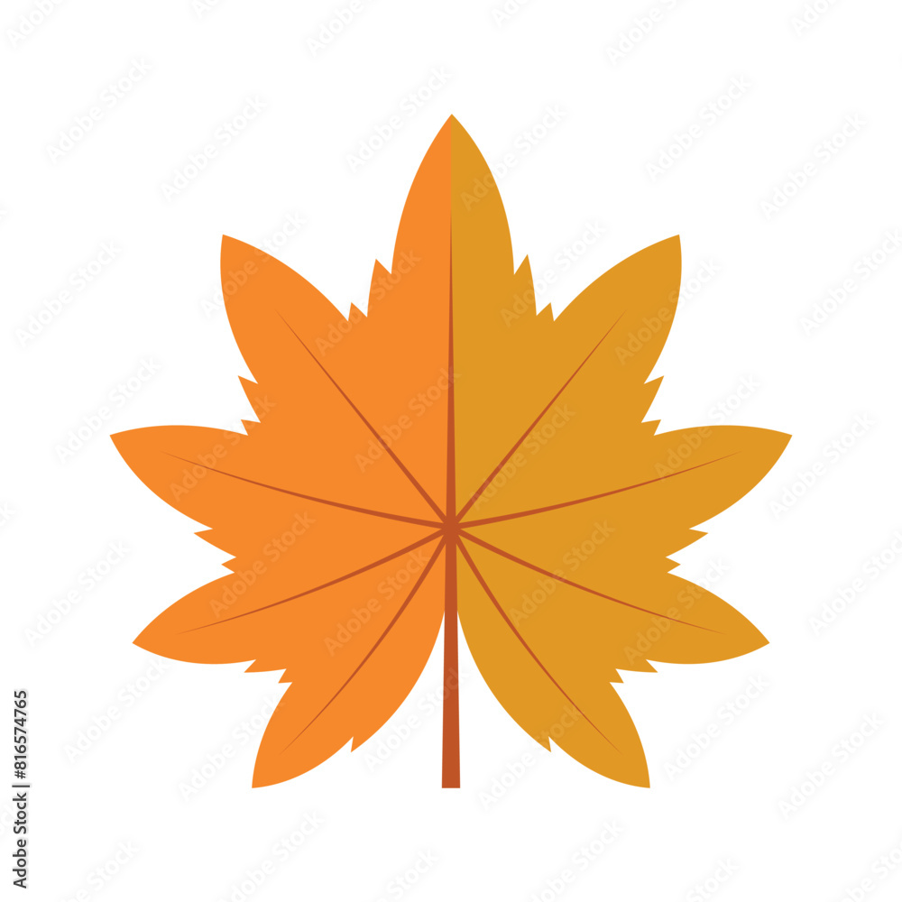 Fototapeta premium Autumn Leaf Element