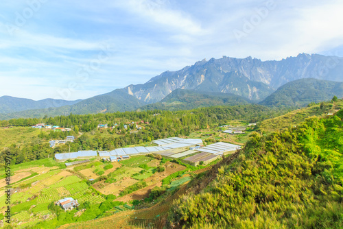 Kundasang Sabah landscape with cabbage farm and Mount Kinabalu at far background during morning.