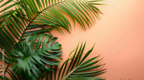 Fresh tropical palm leaves on color background