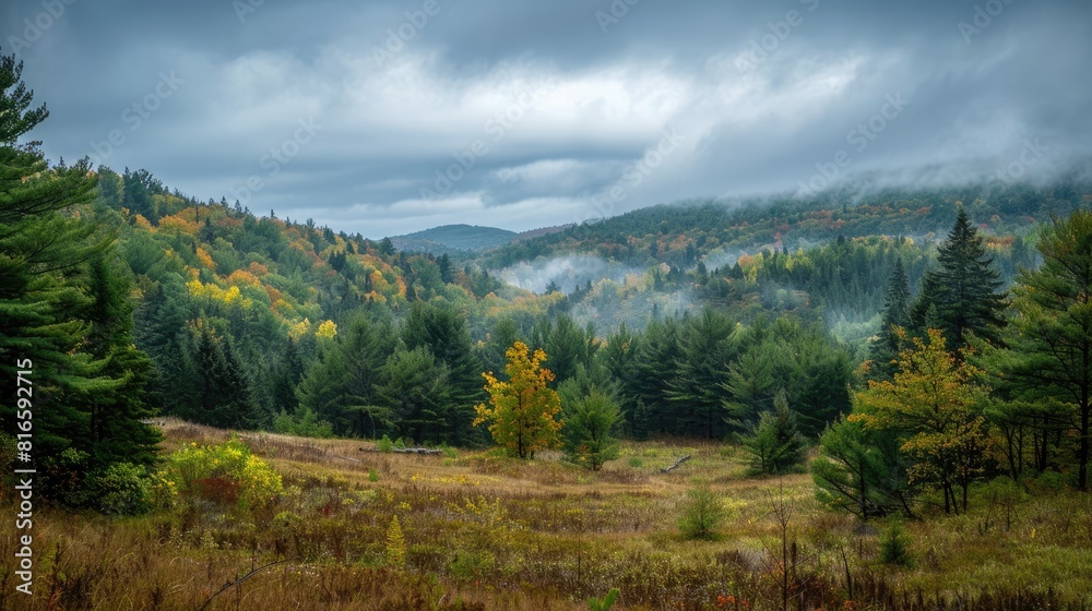 Expansive woodlands gentle slopes beneath a cloudy sky breathtaking views Expansive woodlands gentle slopes beneath a cloudy sky breathtaking views