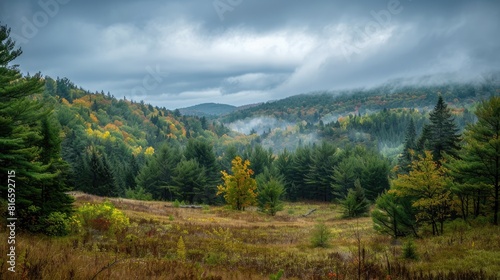 Expansive woodlands gentle slopes beneath a cloudy sky breathtaking views