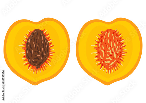 Peach slice with and without seeds