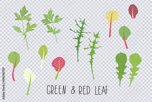 Mix of salad leaves. Cartoon set of green red raw leaves isolated on transparent. Collection icon of leaf salad . Organic vitamin ingredients for cooking healthy food. Vector illustration