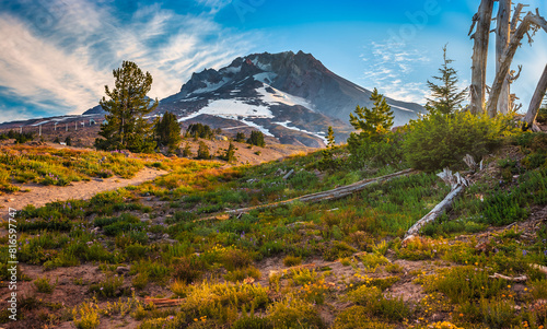 Sunset Light on Mt Hood and Wildflowers, Mt Hood National Forest, Oregon