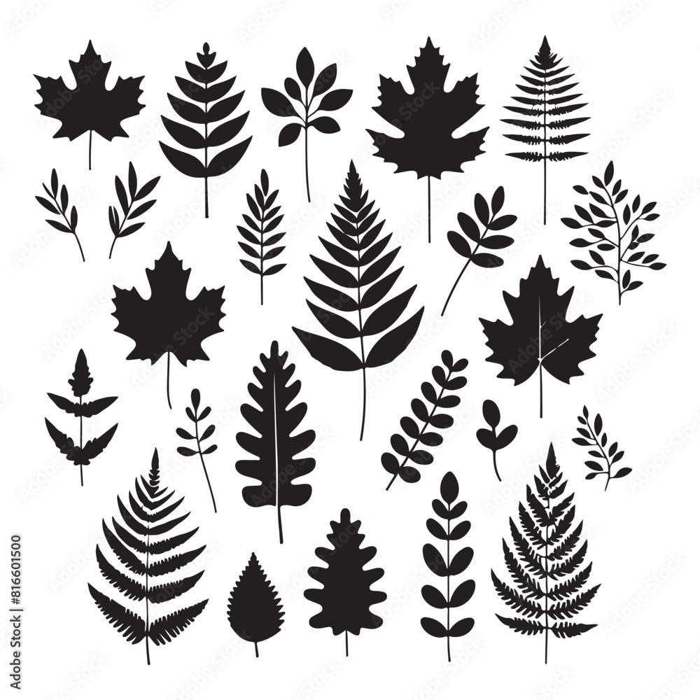 Silhouettes set of black Leaf Inked. Vector isolated illustration
