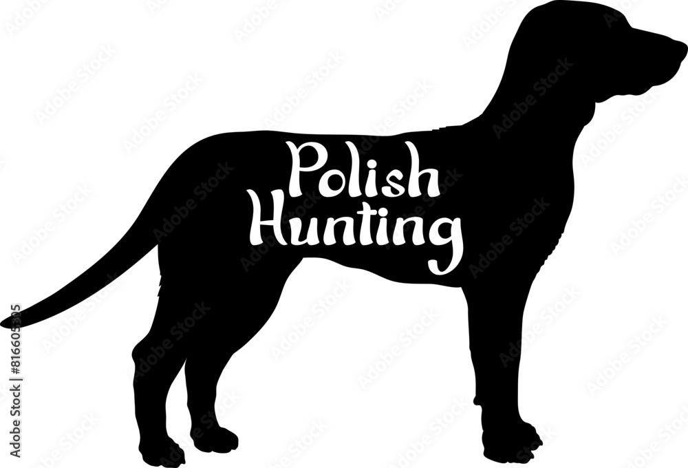  Polish Hunting Dog silhouette dog breeds logo dog monogram vector