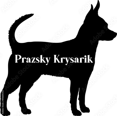 Prazsky Krysarik Dog silhouette dog breeds logo dog monogram vector photo