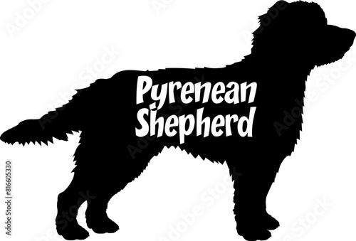 Pyrenean Shepherd Dog silhouette dog breeds logo dog monogram vector photo