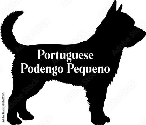 Portuguese Podengo Pequeno. Dog silhouette dog breeds logo dog monogram vector photo