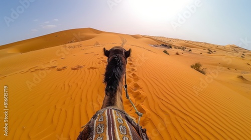 Camel Ride Through the Desert Dunes