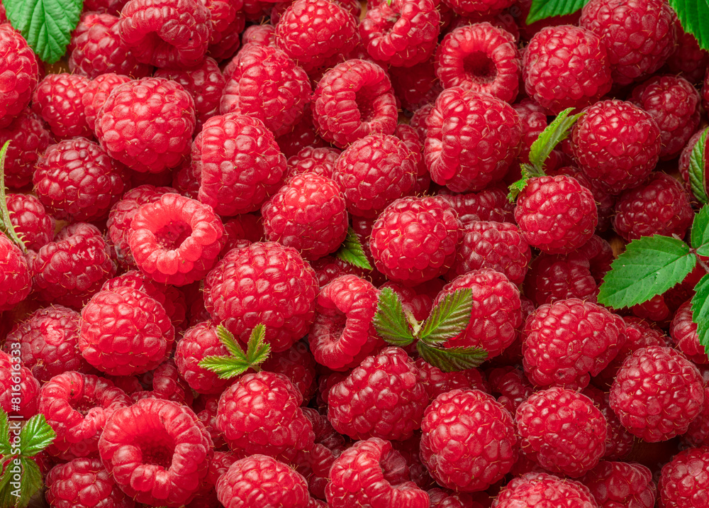 Fresh red ripe raspberries. Raspberries background. Fresh red ripe raspberries. Raspberries background.