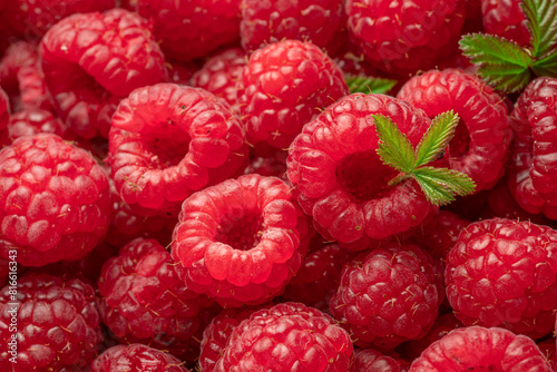 Fresh red ripe raspberries. Raspberries background. © volff