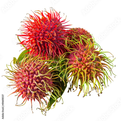 Fresh Rambutan Fruit Isolated Without Background, Exotic Tropical Produce.