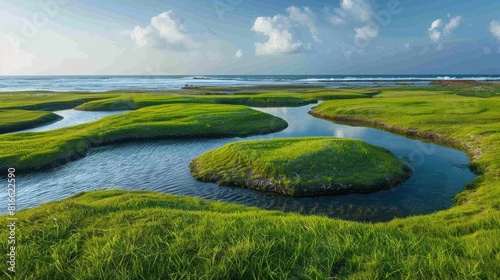 Grassy salt pools with minimal ocean water photo