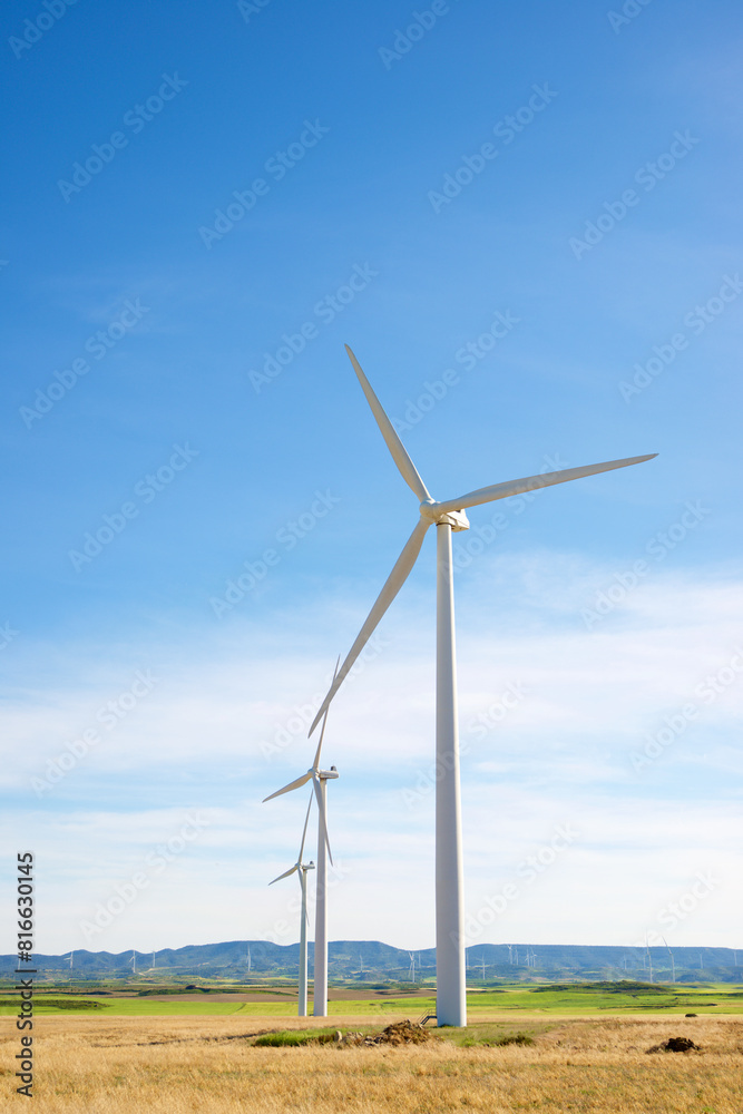 Wind turbine generators for green electricity production Wind turbine generators for green electricity production