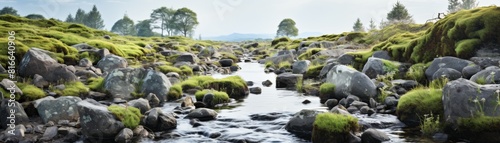 Small river flowing through rocks and green moss photo