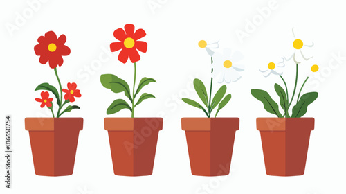 Potted flowers isolated icon Vector style vector design