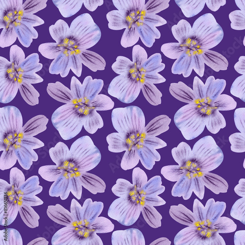 Seamless pattern of hand drawn delicate watercolor flowers floral lilac plants. Herb flower. Drawing summer Botanical greenery illustration on purple background. For fabric  wallpaper  wrapping