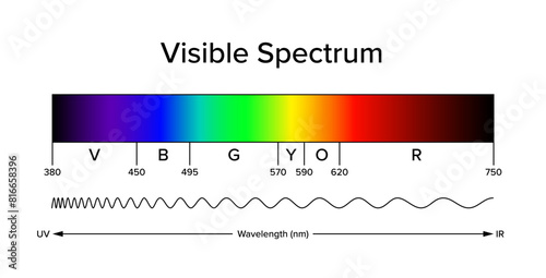 Diagram of the visible spectrum, band of electromagnetic spectrum, visible to the human eye. Light can produce spectral colors, a narrow band of wavelengths. Approximate and schematic illustration.