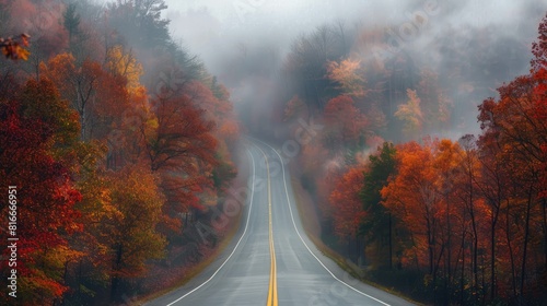 Autumn Hues of the Road Amidst a Misty Backdrop