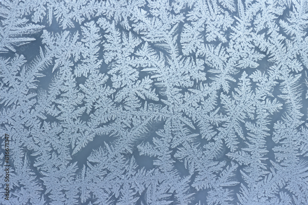 drawing on glass. snow frosty creative drawing on glass, close up, nature concept drawing on glass. snow frosty creative drawing on glass, close up, nature concept