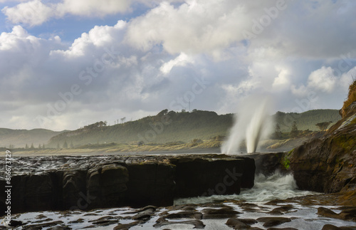 Obraz na plátně Blasts of water coming from the blowhole at Muriwai Beach