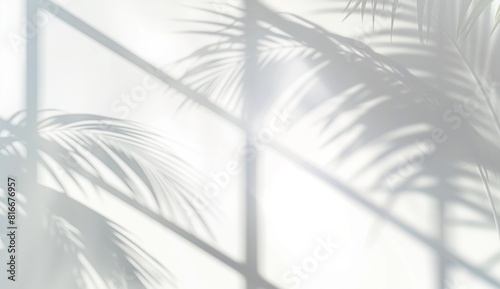 Abstract background with shadows of palm leaves  photo