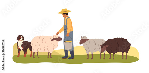 Farmer, herdsman with sheep, shepherd dog in countryside. Farm agriculture worker, sheepman and ewes at country field. Livestock breeding. Flat vector illustration isolated on white background