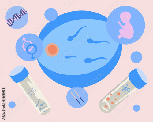 Artificial insemination. In vitro fertilization. Egg freezing. Sperm donation. Egg donation. Sperm freezing. Fertility clinic. Vector isolated illustration of fertilization process.