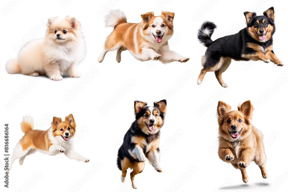 A set of pictures showing different dogs jumping, PNG with transparent background, AI A set of pictures showing different dogs jumping, PNG with transparent background, AI