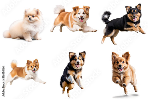 A set of pictures showing different dogs jumping, PNG with transparent background, AI