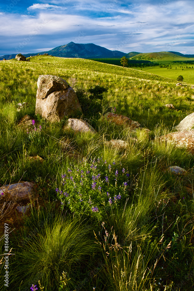 Scenic view of a green field with mountains in the background. Arizona, USA Scenic view of a green field with mountains in the background. Arizona, USA