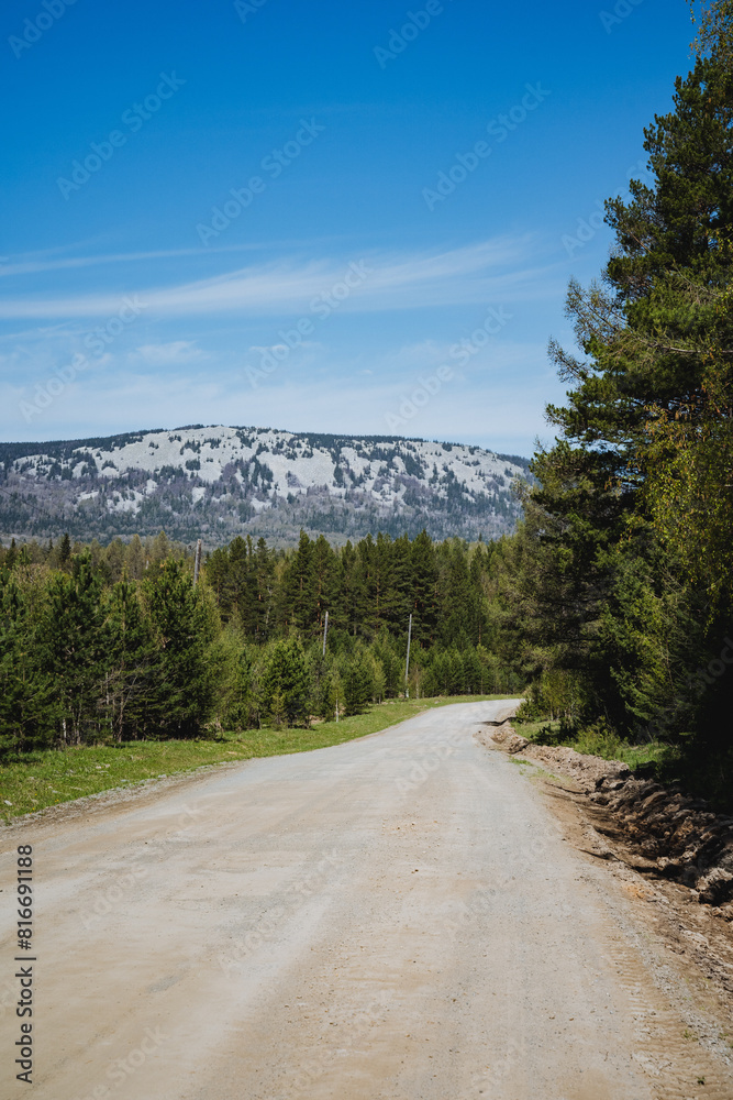 Fototapeta premium Grassy dirt road winding through forest with larch trees and mountain backdrop