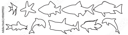 Different species of fish outline drawn silhouettes. Editable stroke. Vector illustration.