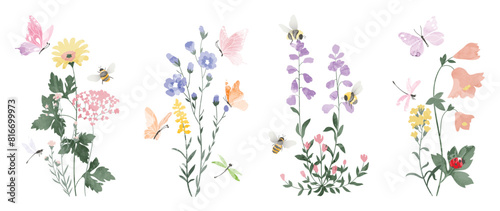 Set of botanical bouquet vector element. Collection of ladybug, bee, butterfly, dragonfly, flower, wildflower, wild grass. Watercolor floral illustration design for wedding, invitation, decor, print.