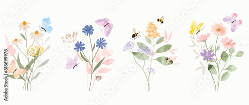 Set of botanical bouquet vector element. Collection of bee, butterfly, flowers, wildflowers, wild grass. Watercolor floral illustration design for logo, wedding, invitation, decor, print.