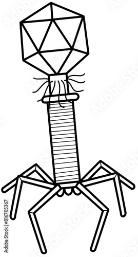 Bacterial virus structure illustration by hand drawn	
