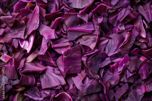 Closeup view of vibrant purple cabbage leaves creating an organic texture