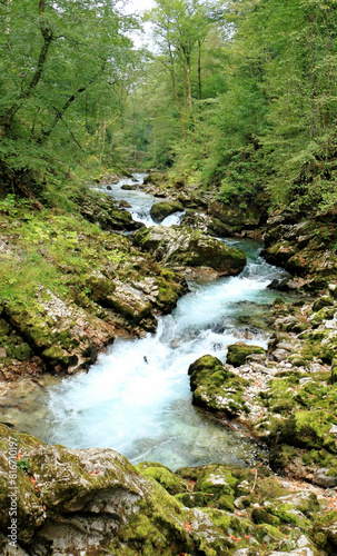 Radovna River in the Vintgar Gorge canyon, Slovenia