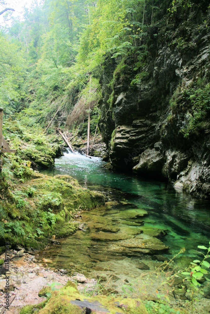 Green water in the Radovna River, Vintgar Gorge, Slovenia Green water in the Radovna River, Vintgar Gorge, Slovenia