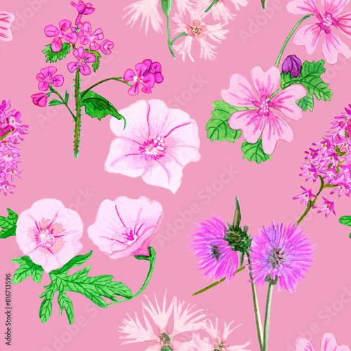 Pink field flowers  hand painted with watercolor  on pink background. Floral seamless pattern Background raster.