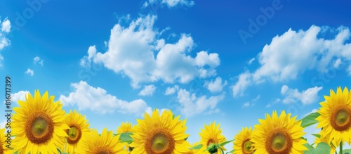 A vibrant blue sky dotted with countless sunflowers creating a visually mesmerizing scene with ample copy space for an image